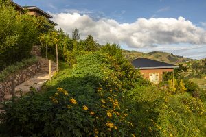 3-day gorilla trekking itinerary Bwindi Rushaga Sector